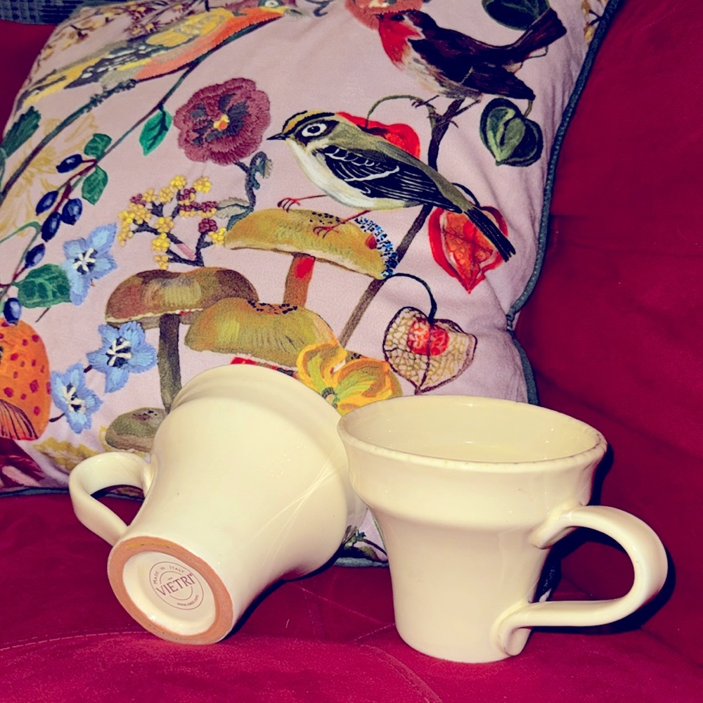 Vietri Coffee mugs - set of 2